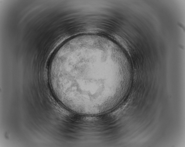 X0000096960835200802291119