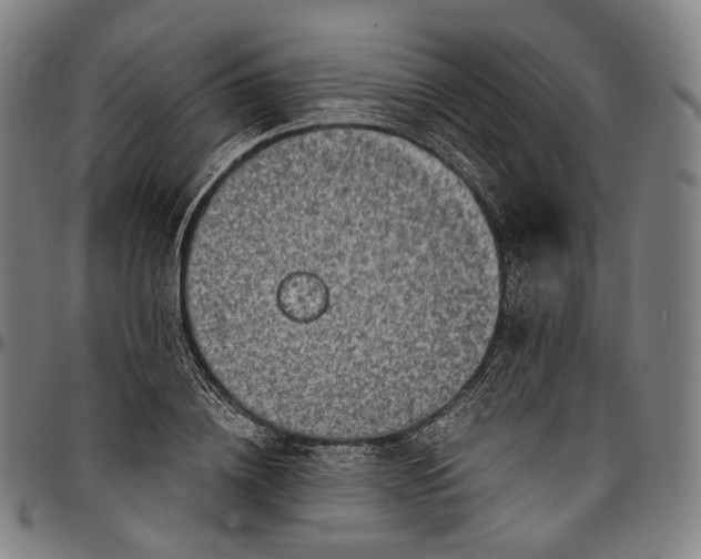 X0000096960836200802291119