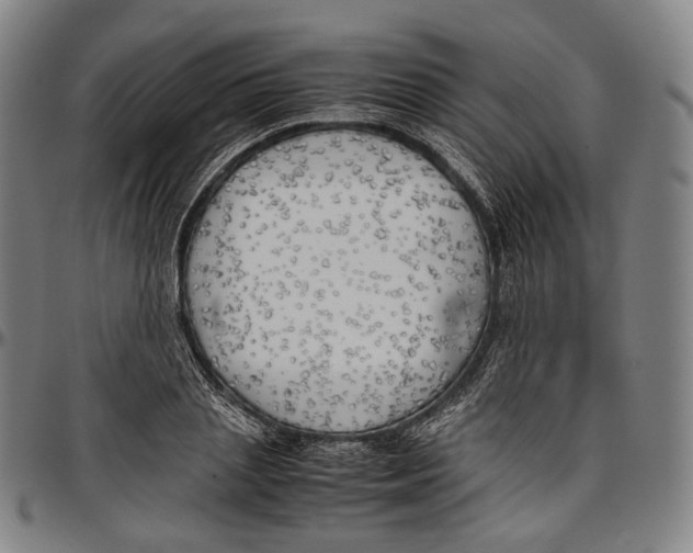 X0000096960837200802291119