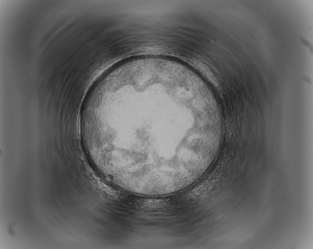 X0000096960839200802291119