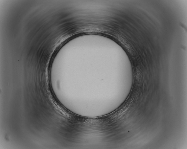 X0000096960840200802291119