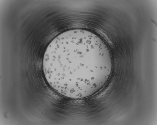 X0000096960841200802291119