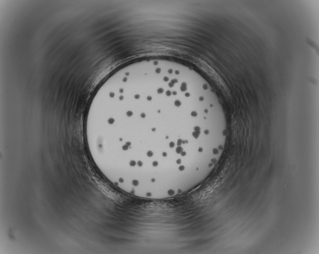 X0000096960842200802291119