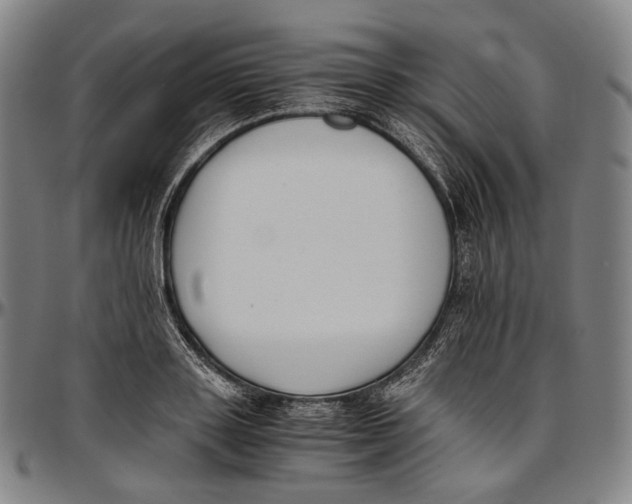 X0000096960843200802291119