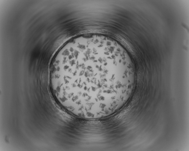 X0000096960844200802291119