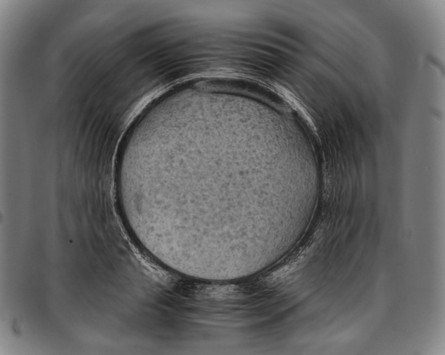 X0000096960845200802291119