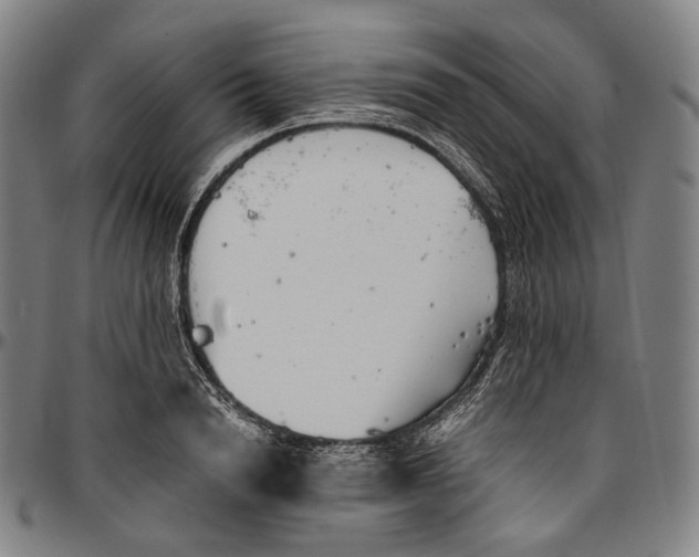 X0000096960846200802291119