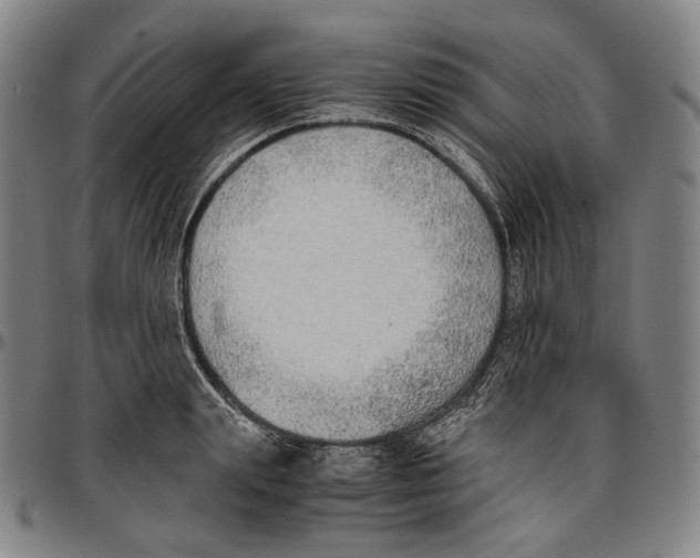 X0000096960847200802291119