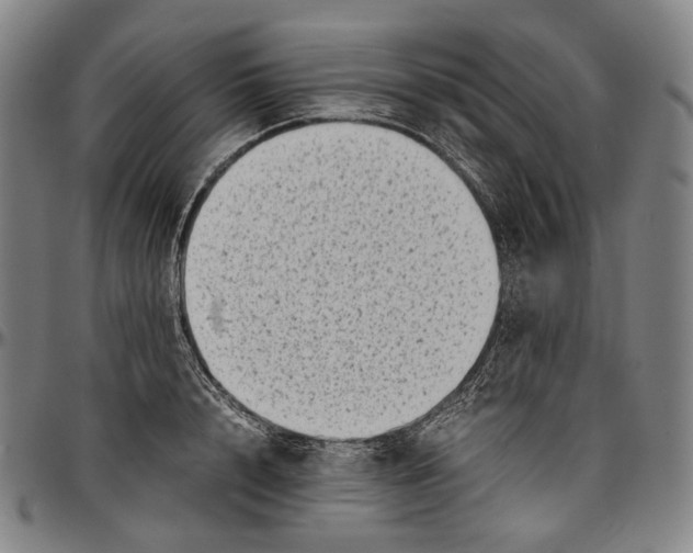 X0000096960848200802291119