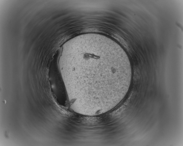 X0000096960849200802291119