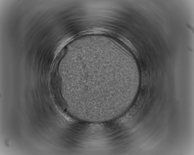 X0000096960850200802291119