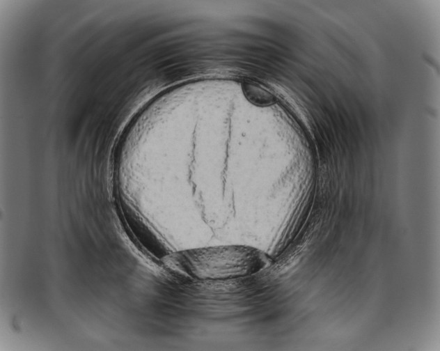 X0000096960851200802291119