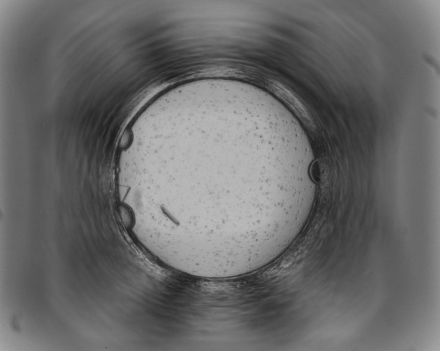 X0000096960852200802291119