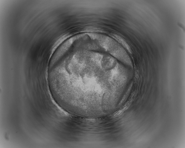 X0000096960855200802291119