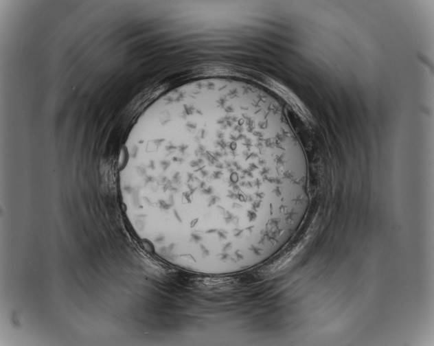 X0000096960857200802291119