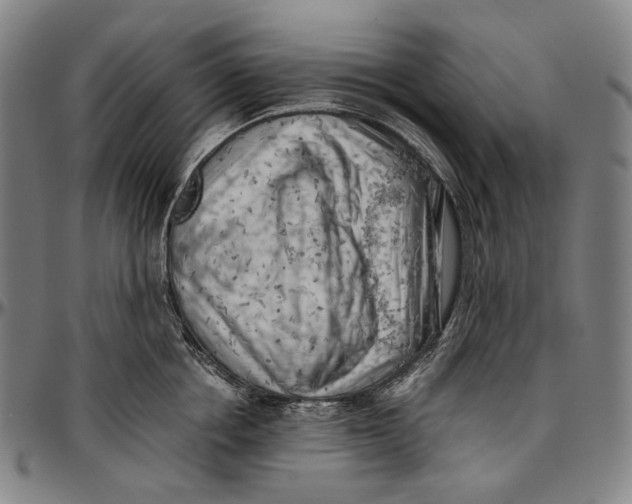 X0000096960858200802291119