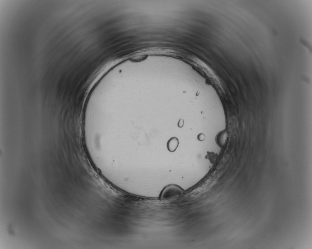 X0000096960860200802291119