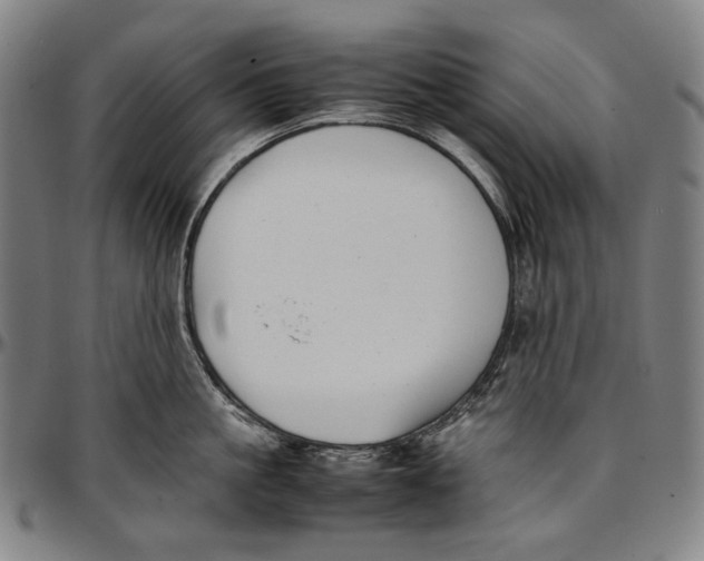 X0000096960861200802291119