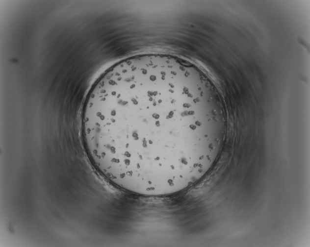 X0000096960862200802291119