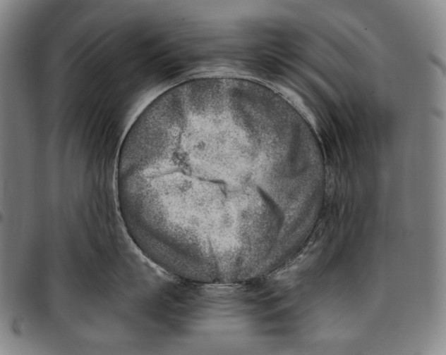 X0000096960863200802291119