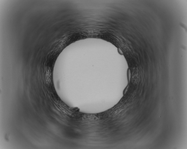 X0000096960866200802291118