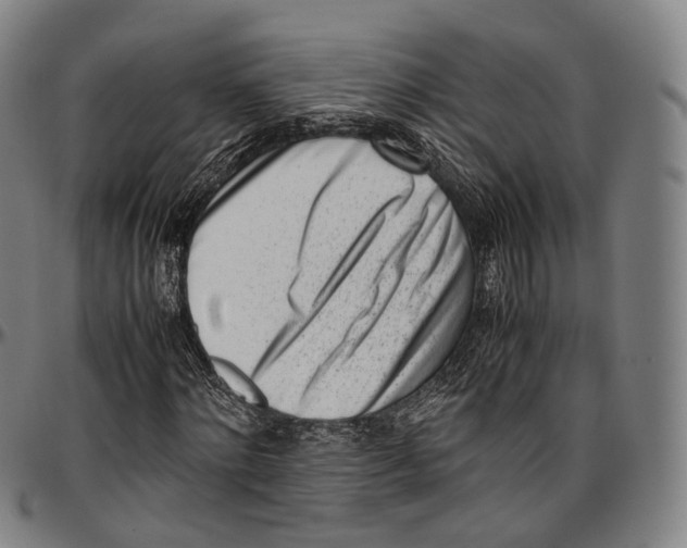 X0000096960868200802291118