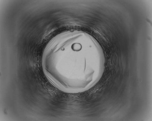 X0000096960870200802291118