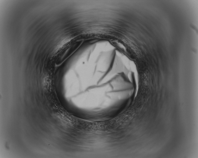 X0000096960872200802291118