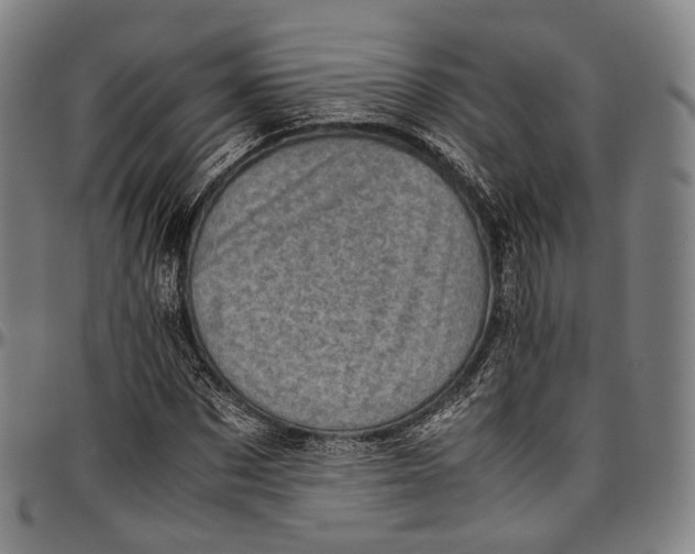 X0000096960873200802291118