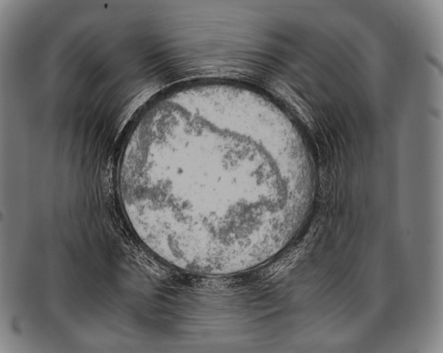 X0000096960875200802291118