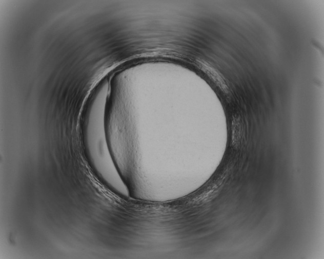 X0000096960876200802291118