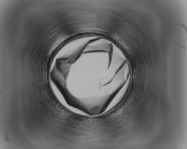 X0000096960877200802291118