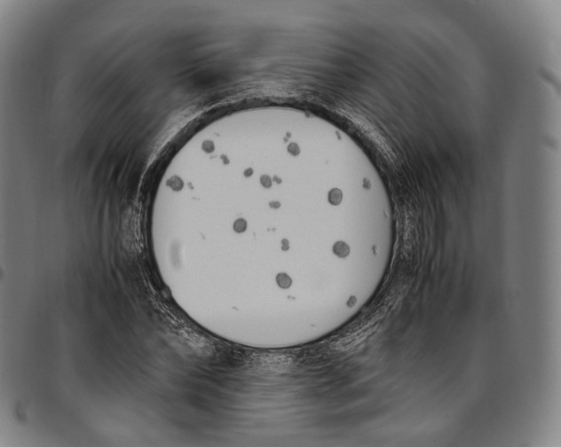 X0000096960878200802291118