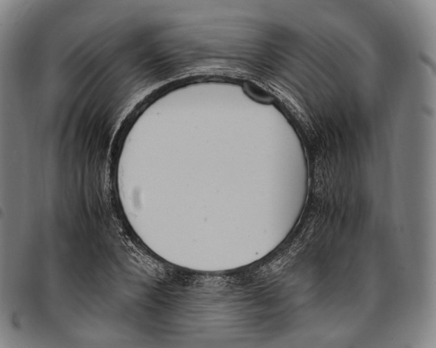 X0000096960880200802291118