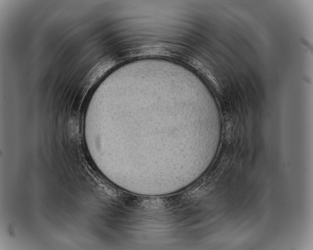 X0000096960882200802291118