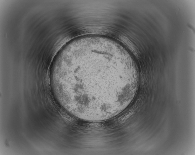 X0000096960883200802291118