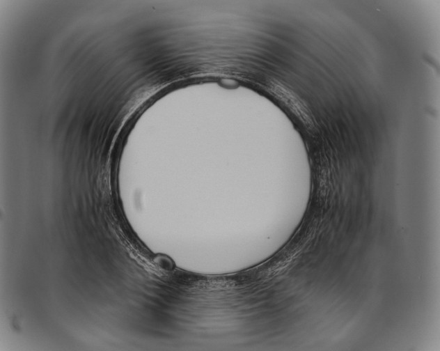 X0000096960884200802291118