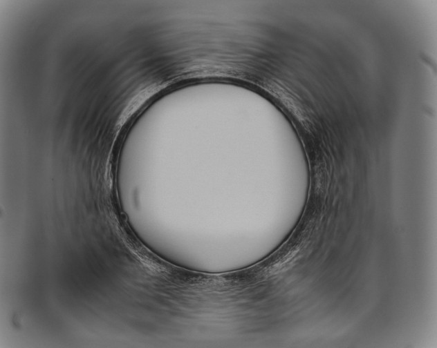 X0000096960885200802291118