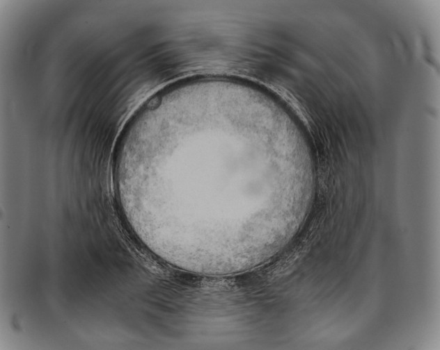 X0000096960887200802291118