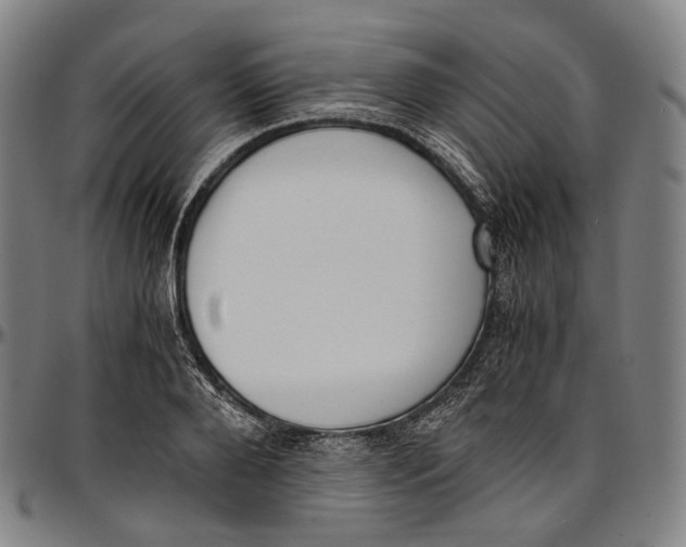 X0000096960888200802291118