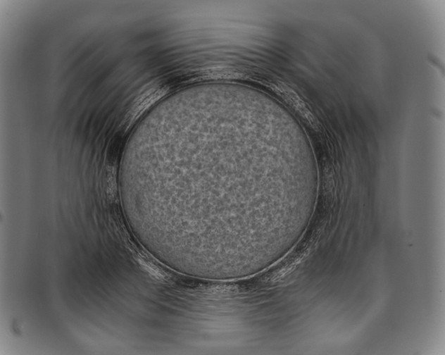 X0000096960889200802291118