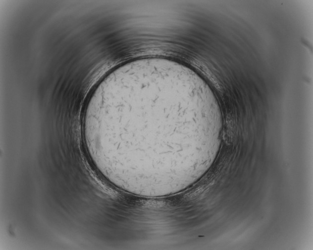 X0000096960890200802291118