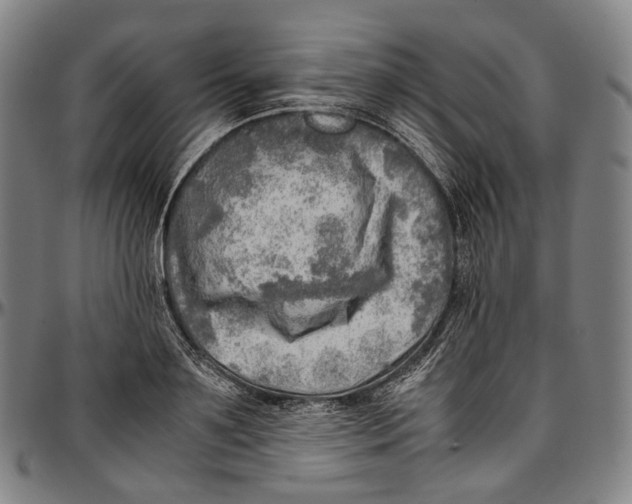 X0000096960891200802291118