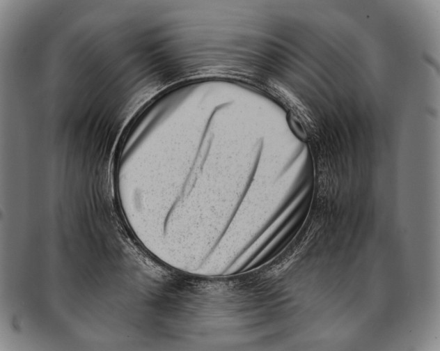 X0000096960892200802291118