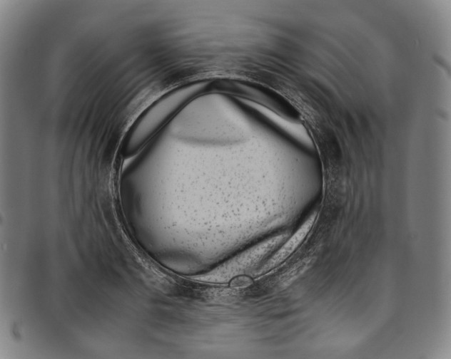 X0000096960893200802291118