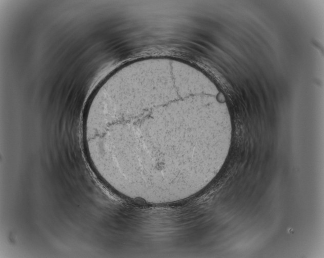 X0000096960894200802291118