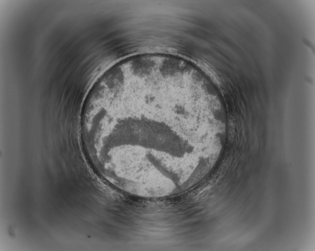 X0000096960895200802291118