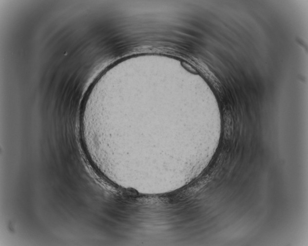 X0000096960896200802291118