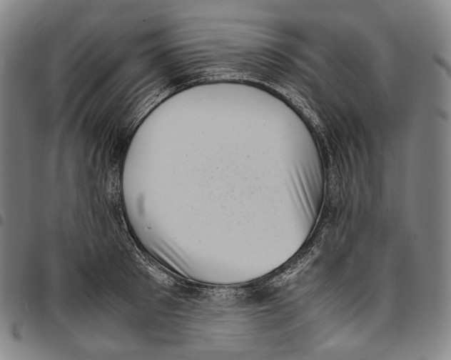 X0000096960897200802291118