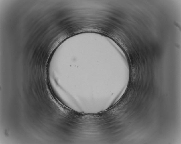 X0000096960898200802291118